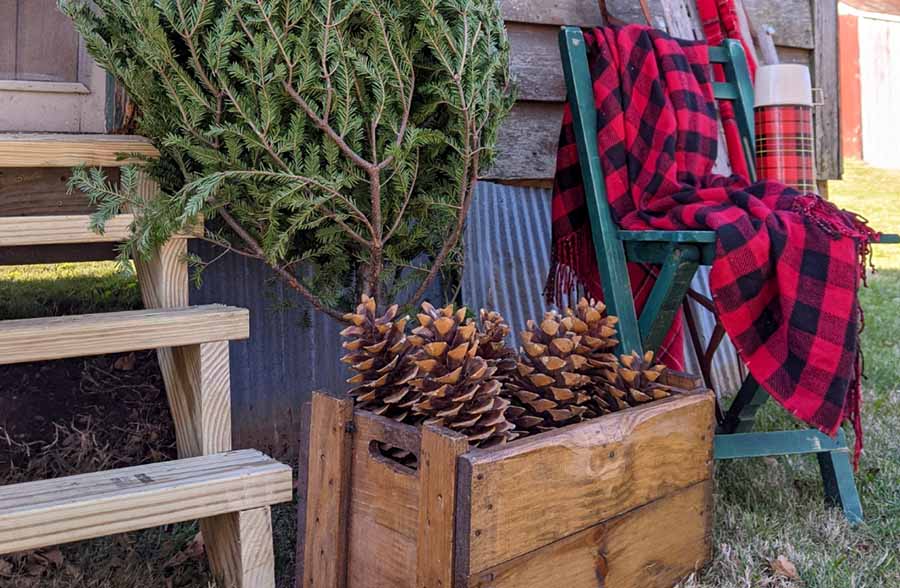 FOUND 1920s Antique Wooden Folding Chairs