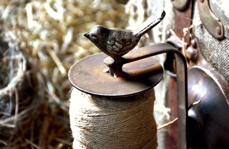Wall Mount Bird Top Twine Display