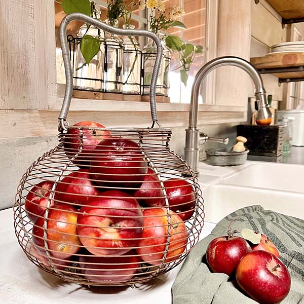 FOUND Metal Wire Egg Basket