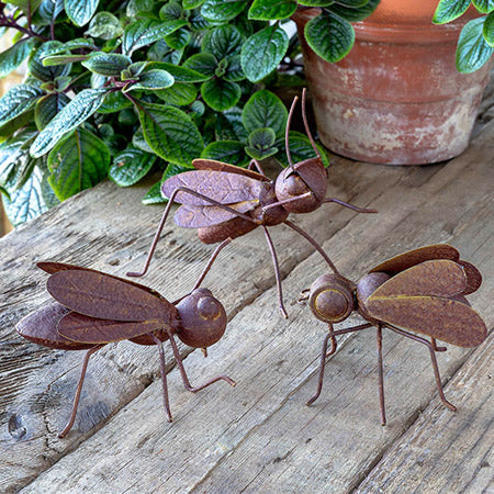 Collected Metal Insects, Set of 3