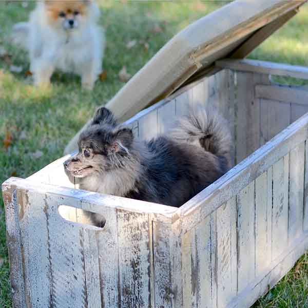 Collapsible Whitewashed Wooden Storage Bench