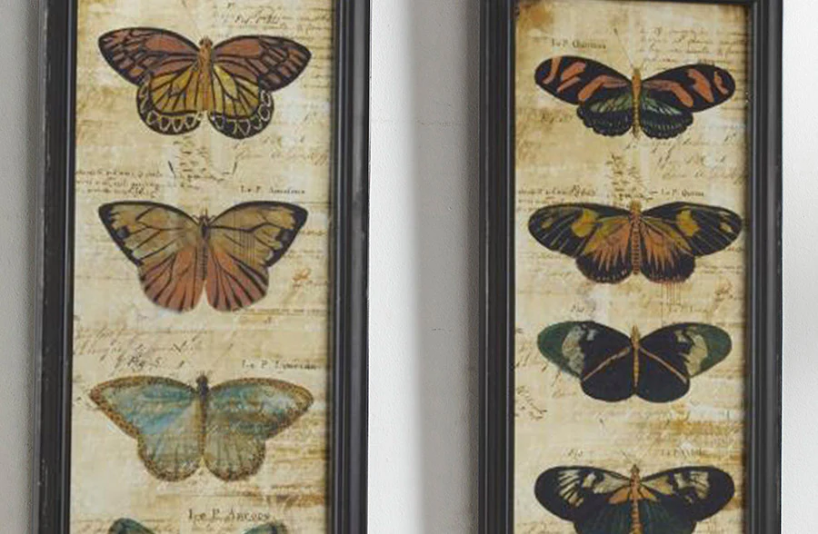 Vintage Inspired Butterfly Calligraphy Wall Art, Set of 2