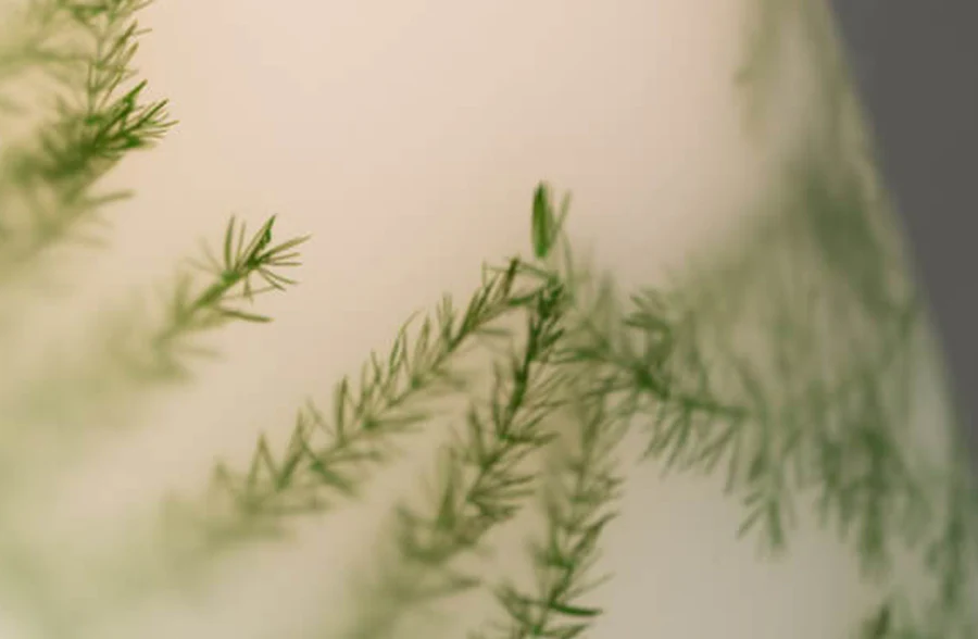 Fern LED Pillar Candles, Set of 2