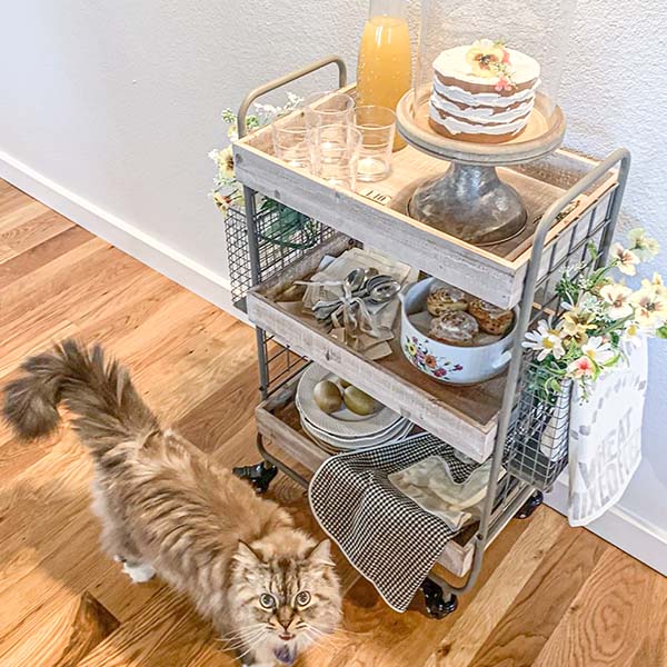 Wood Bar Cart | Functional Farmhouse