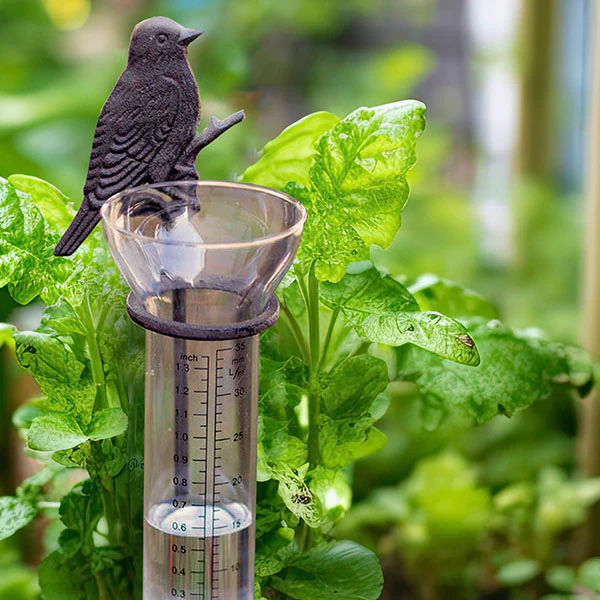 Songbird Rain Gauge Garden Stake