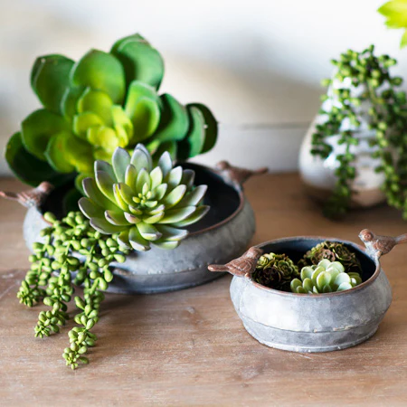 Galvanized Metal Bird Bowls, Set of 2