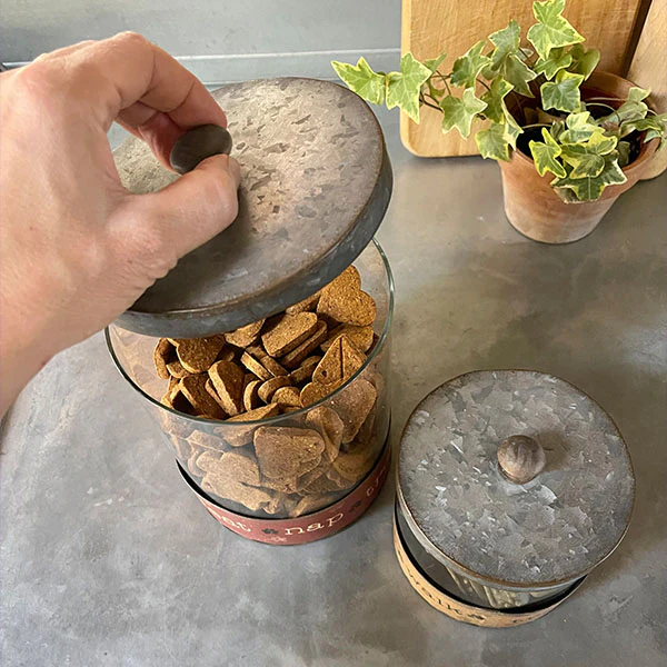 Pawsitive Pet Treat Canisters, Set of 2