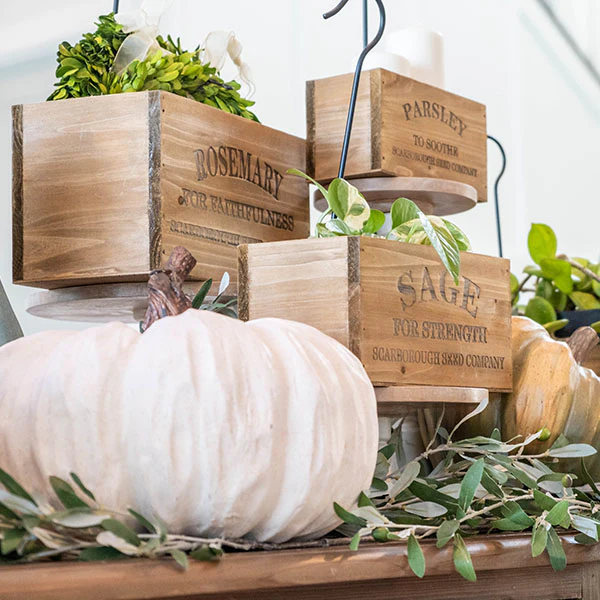 Wall Planters Indoor | Wooden Herb Buckets
