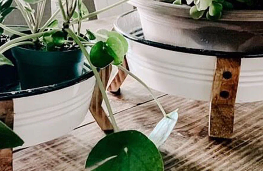 Enamel Basin Planters, Set of 2