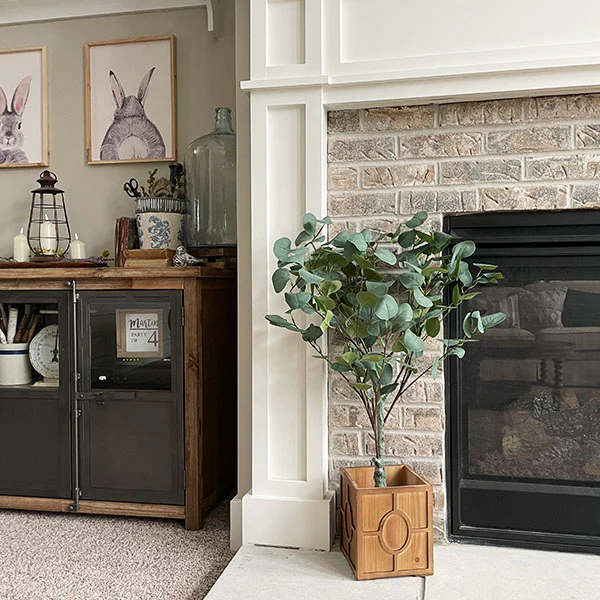 Steal It Box: Spring/Summer 2022 Edition- Eucalyptus Tree