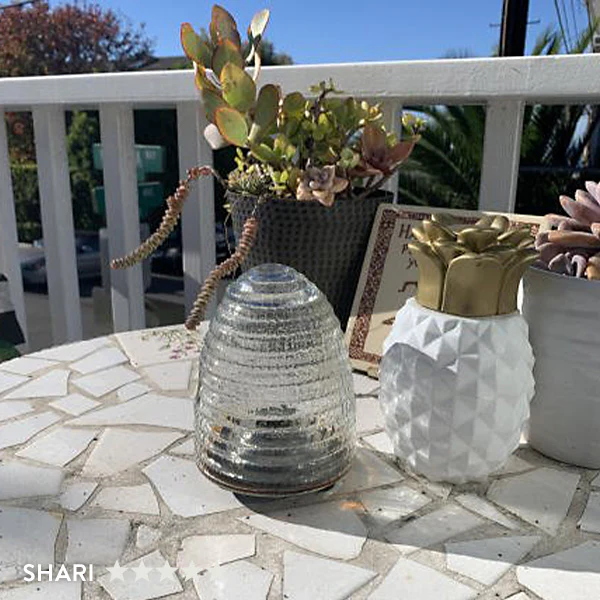 Pesky Insect Tabletop Trap