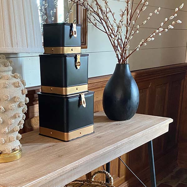 Copper Trim Storage Trunks, Set of 3