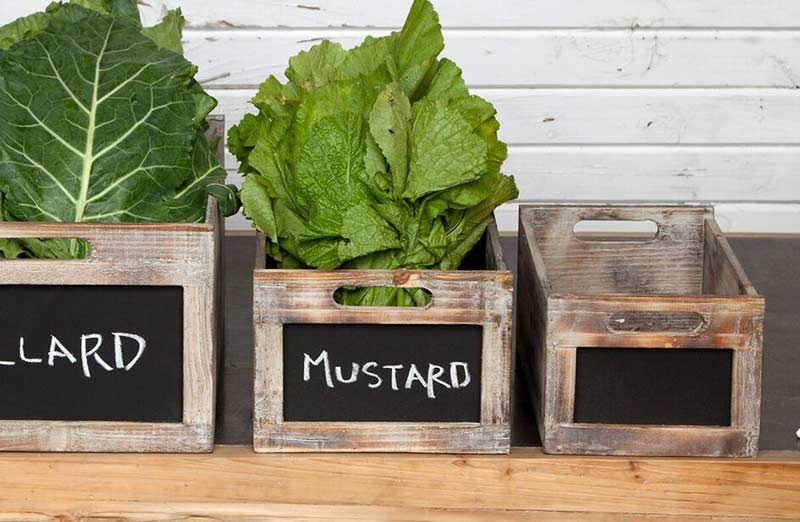 Blackboard Wooden Crates  Set of 4