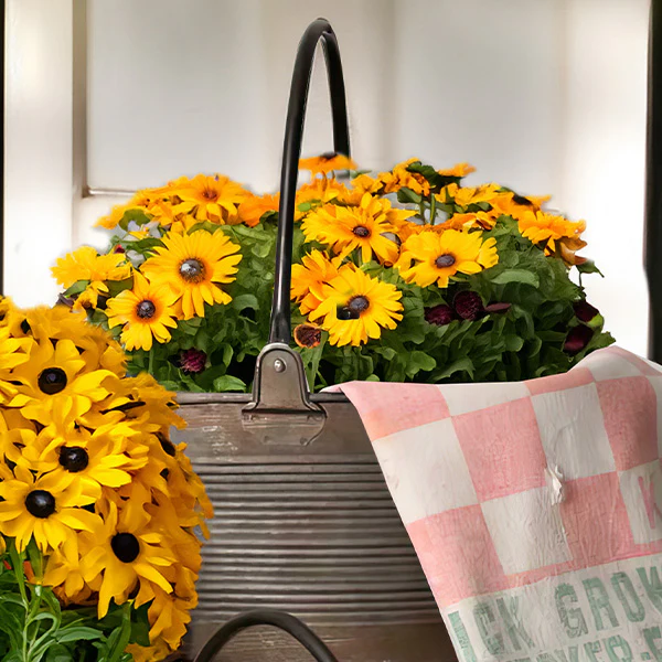 Distressed Round Buckets With Handles, Set of 3