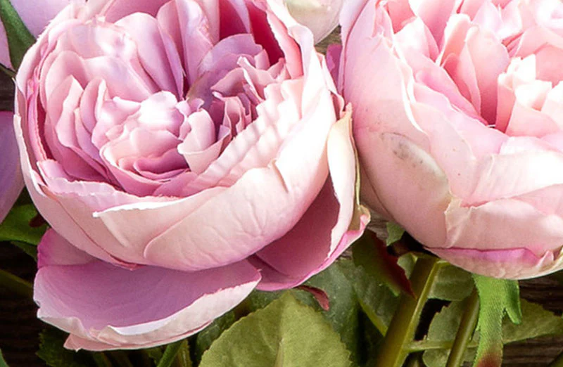 Antique Garden Peony Bundle