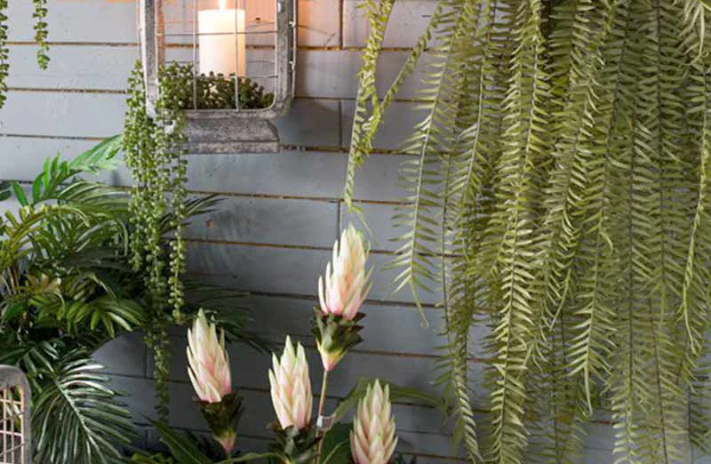 Lush Fern Stem Set of 2