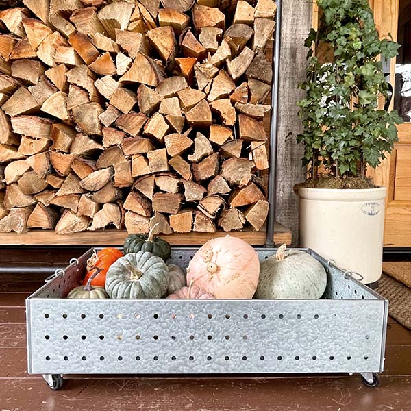 Galvanized Boot Tray on Wheels