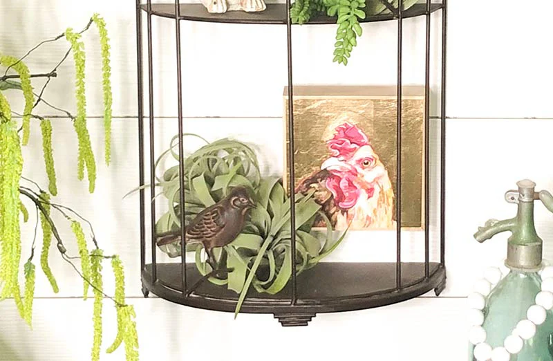 Rustic Bird Cage Wall Shelf