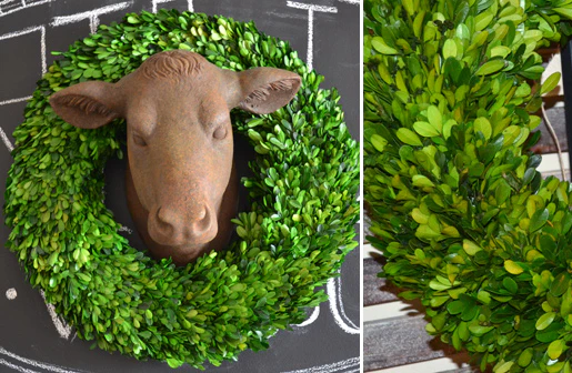 Preserved Boxwood Wreath