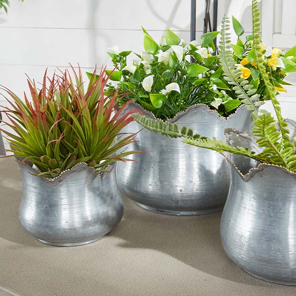 Scalloped Edge Galvanized Planters, Set of 3
