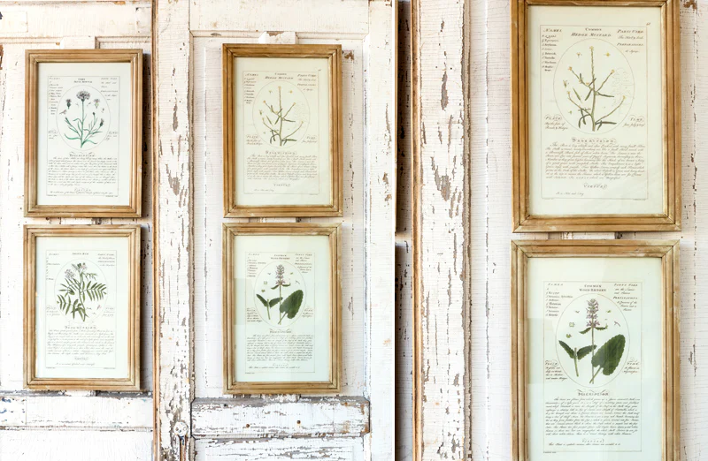 *HUGE* Framed Botanical Art Prints  Set of 4