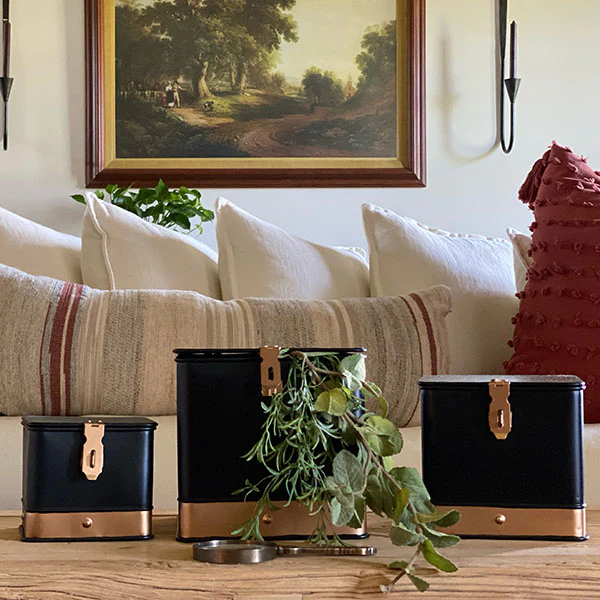 Copper Trim Storage Trunks, Set of 3