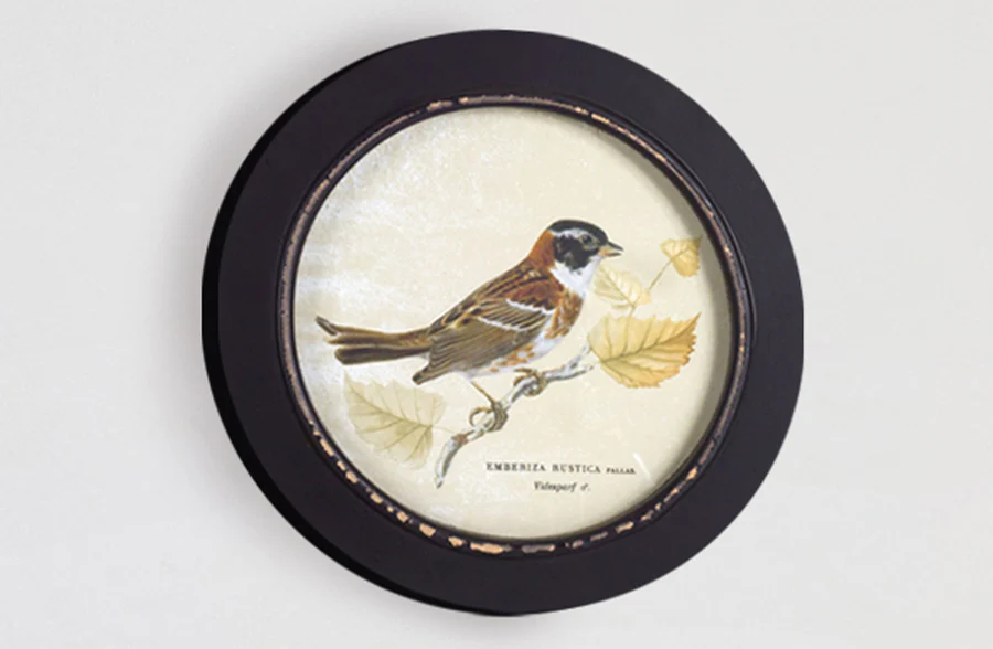 Framed Bird Prints, Set of 3