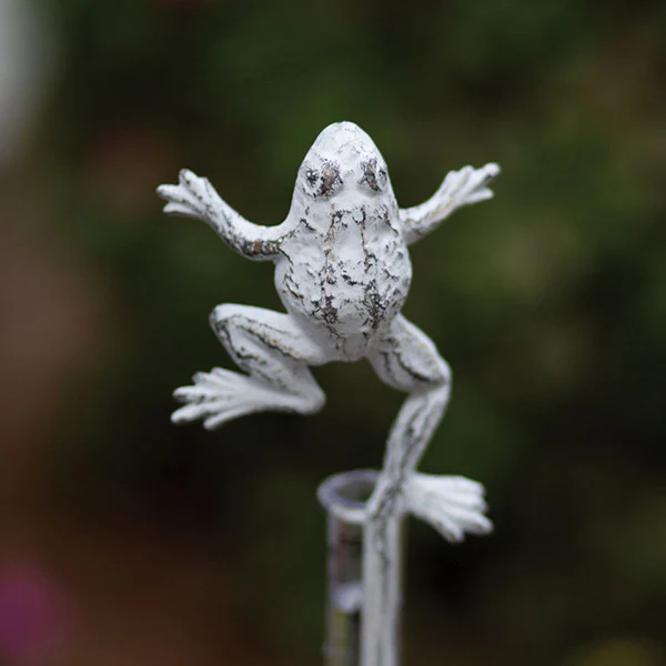 Leapfrog Rain Gauge and Bird  Feeder