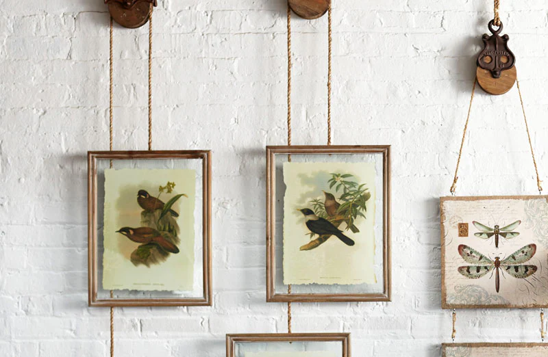 Large Framed Bird Pictures  Set of 4