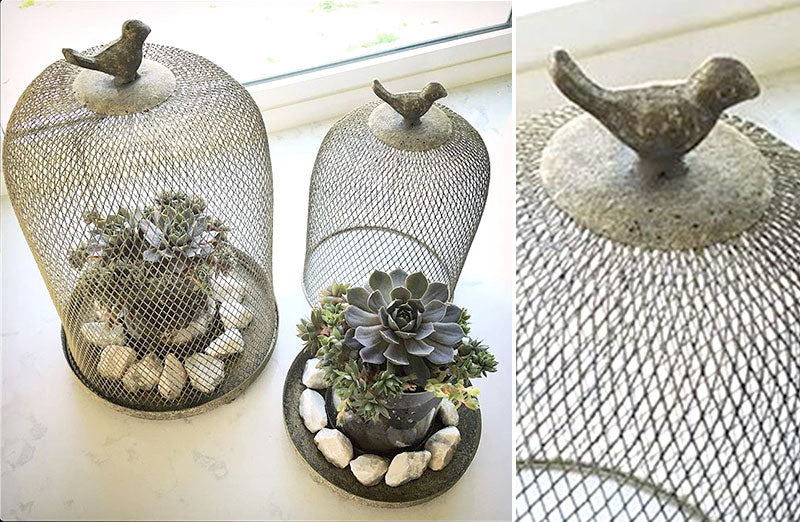 Metal Bird Cloche  Set Of 2