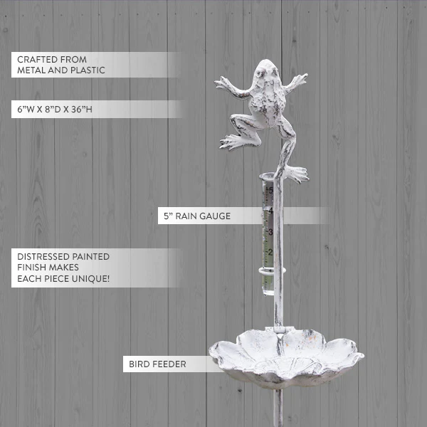 Leapfrog Rain Gauge and Bird  Feeder