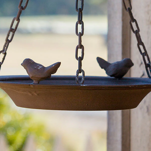 Hanging Bird Feeder With Bracket