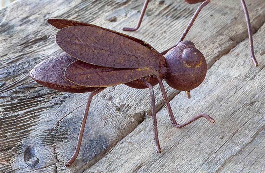 Collected Metal Insects, Set of 3