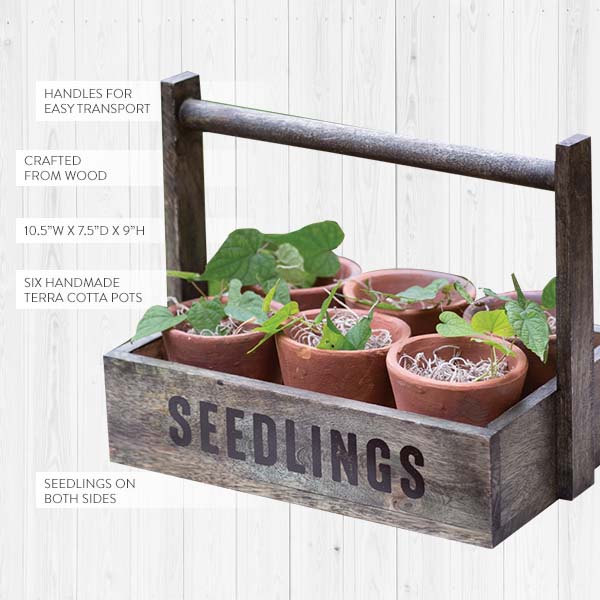 Vintage-Inspired Potting Caddy with Pots