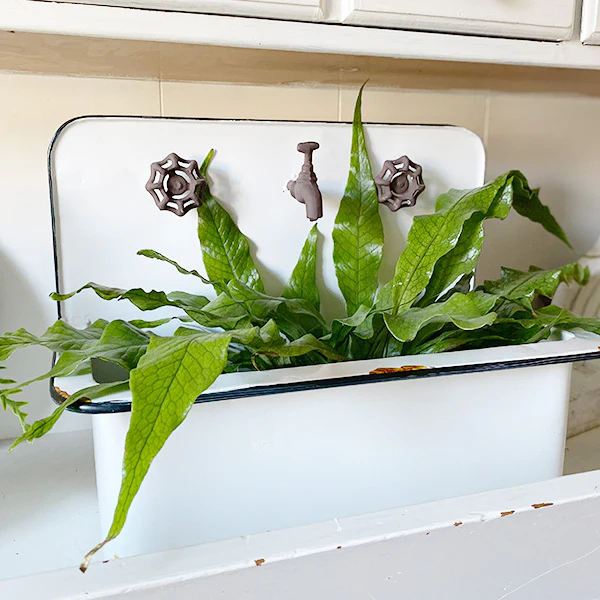 Chippy Sink Wall Planters, Set of 2
