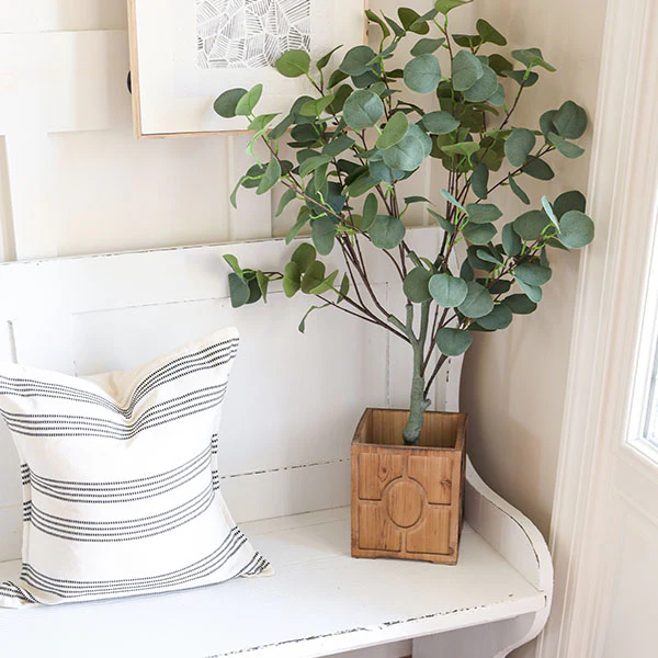 Steal It Box: Spring/Summer 2022 Edition- Eucalyptus Tree