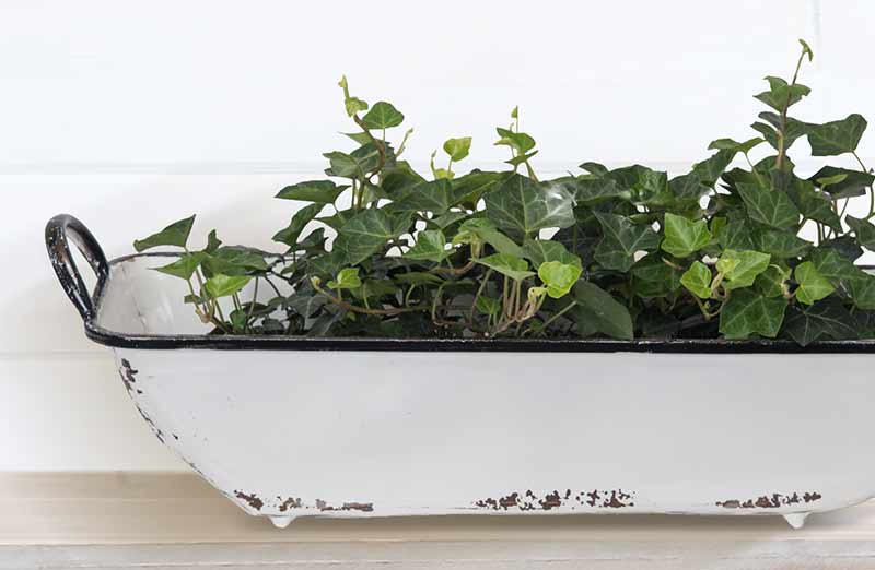 *LARGE* Distressed White Rectangle Enamel Tray