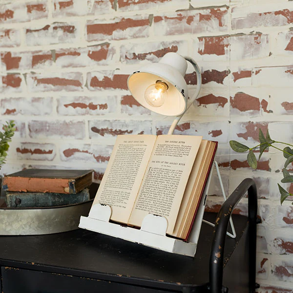 Chippy Enamel Gooseneck Lamp Book Holder
