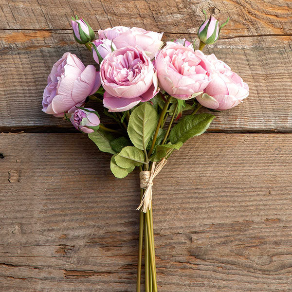 Antique Garden Peony Bundle