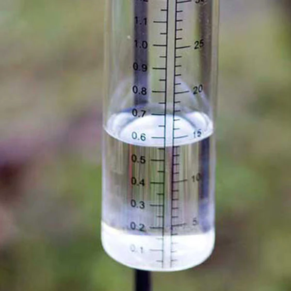 Songbird Rain Gauge Garden Stake