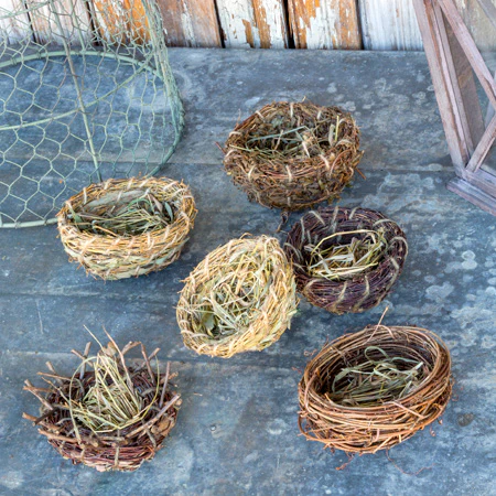 Natural Quail Bird Nests, Set Of 6