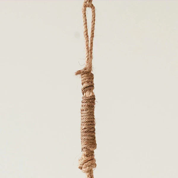 Glass Hanging Planter with Jute Rope