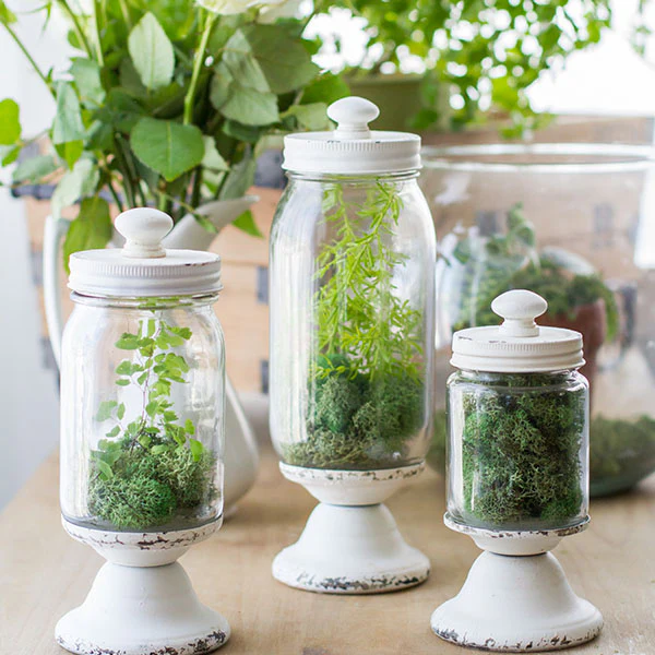 Distressed Glass Apothecary Canisters, Set of 3