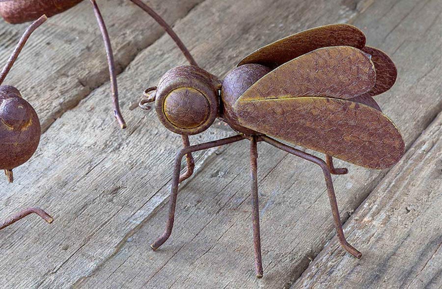 Collected Metal Insects, Set of 3