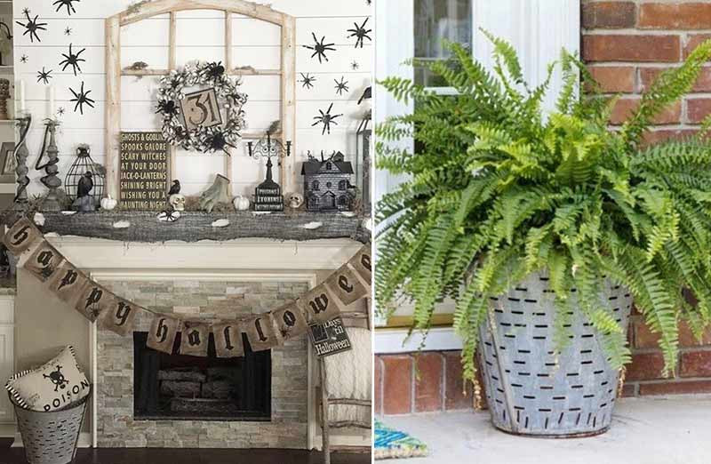 Olive Bucket From The Farms Of Turkey