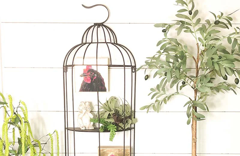 Rustic Bird Cage Wall Shelf