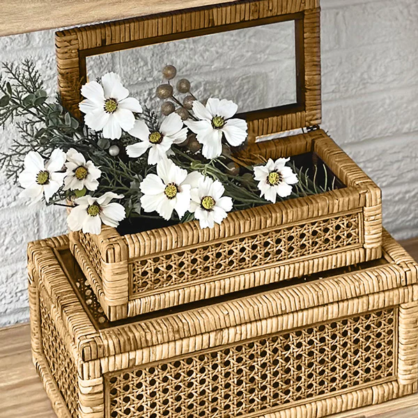 Cane & Rattan Trunks, Set of 2