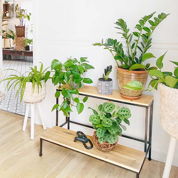 HUGE Utilitarian Tiered Display Stand