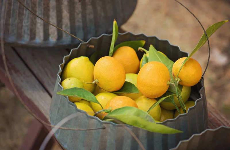 Corrugated Metal Hanging Planters  Set of 3
