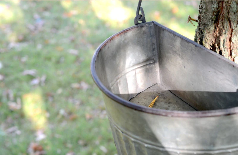 Half Bucket Birdhouse